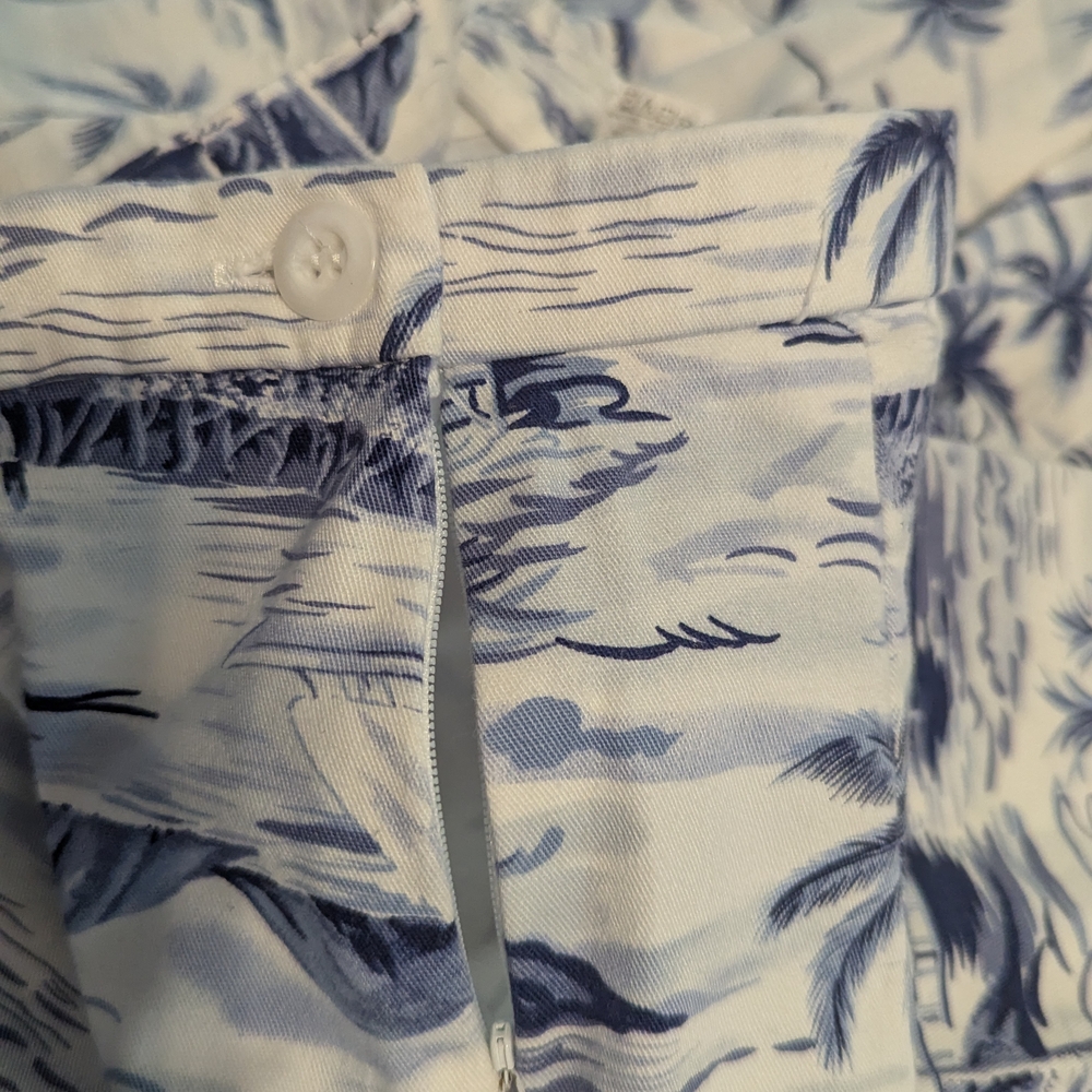Briggs New York Blue and White Cropped Pants - Picture 3 of 4